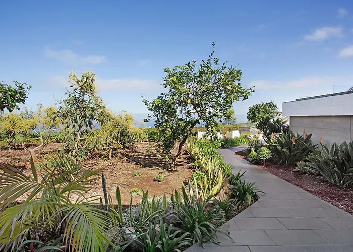 Casa Adayeim 1 伊科德·德·洛斯·维诺斯